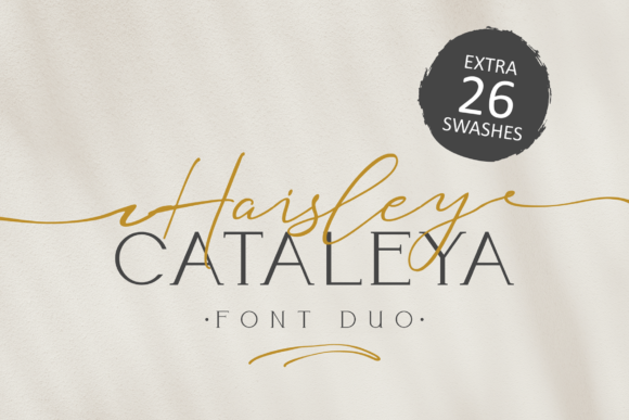 Haisley Cataleya: The Font That Elevates Your Campaign Message