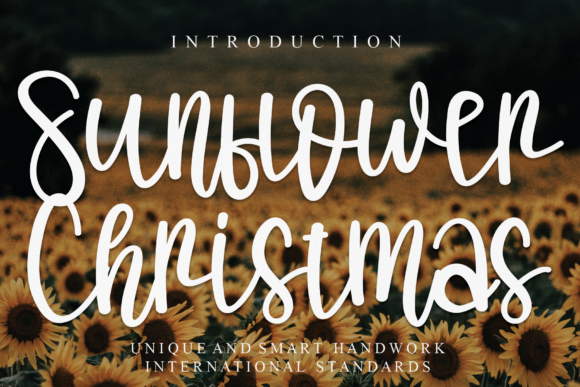 Sunflower Christmas Font: A Handwritten Typeface for Polished Web Design